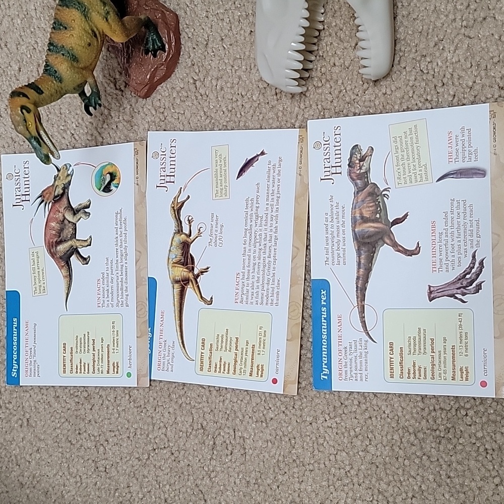Dinosaur Learning Set - Picture 2 of 5